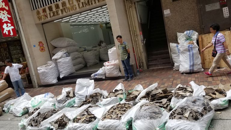 Bags of shark fins from a Singapore Airlines shipment are seen in Hong Kong on 11 May
