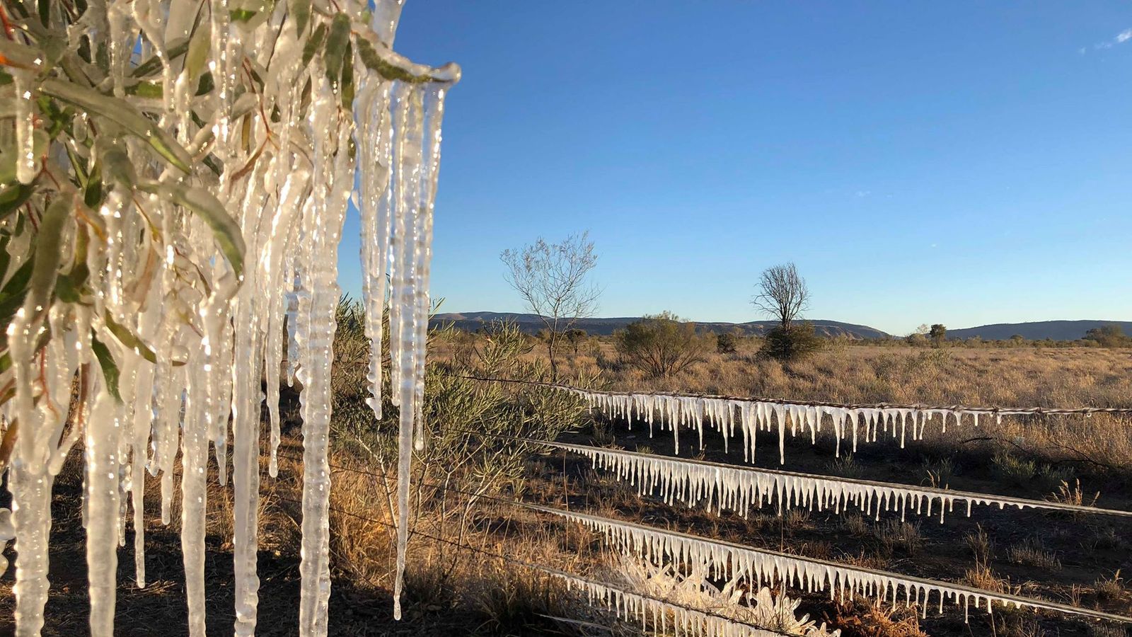 Winter freeze in Australia as bitter cold snap hits east coast World News Sky News