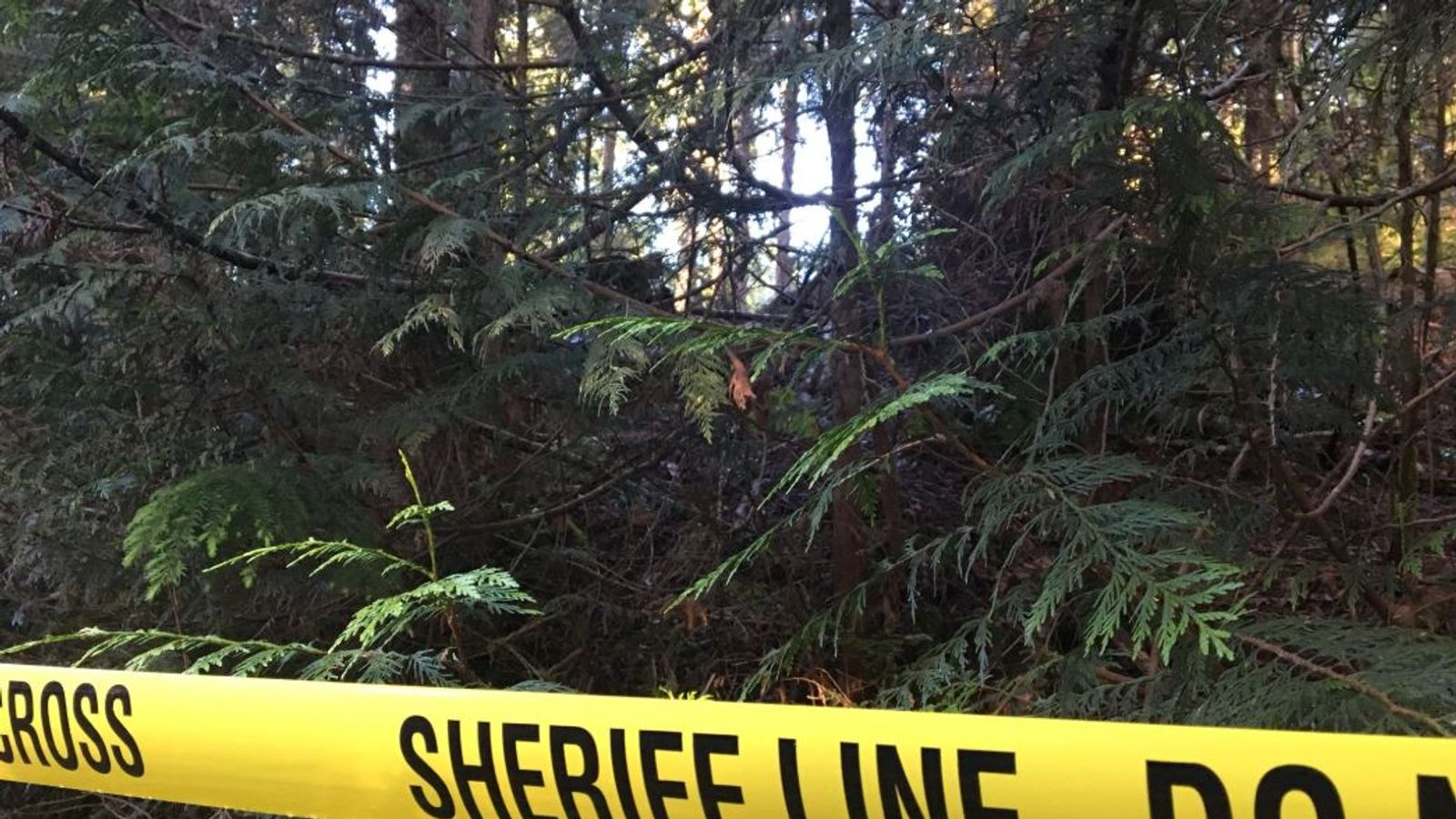 Family of five killed in rental cabin explosion in Washington World