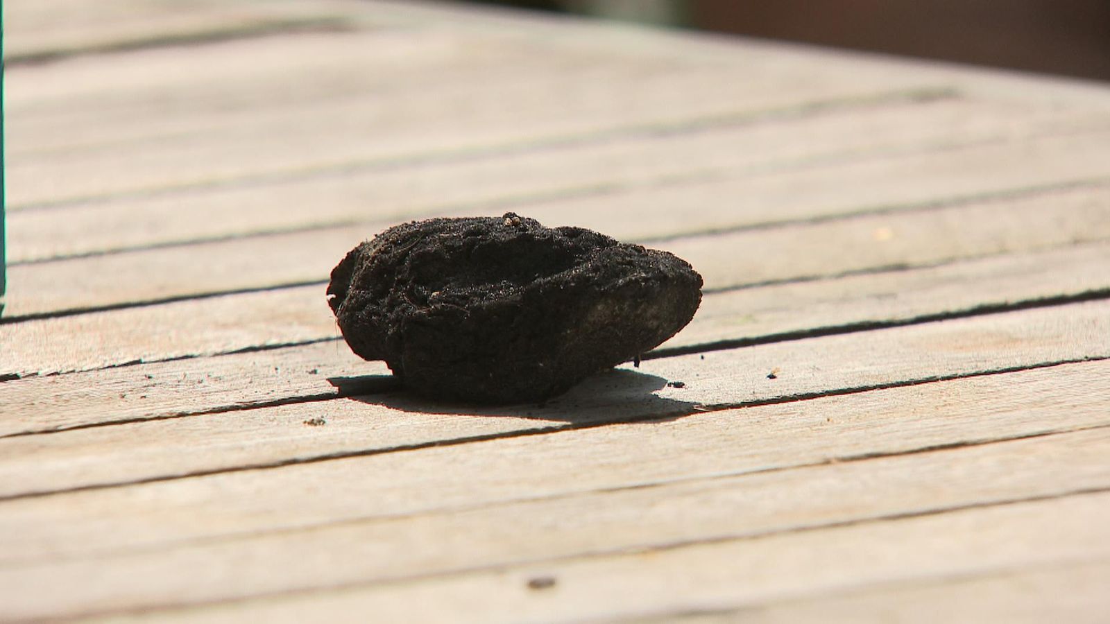 'Grenfell tower debris still falls into my garden' UK News Sky News