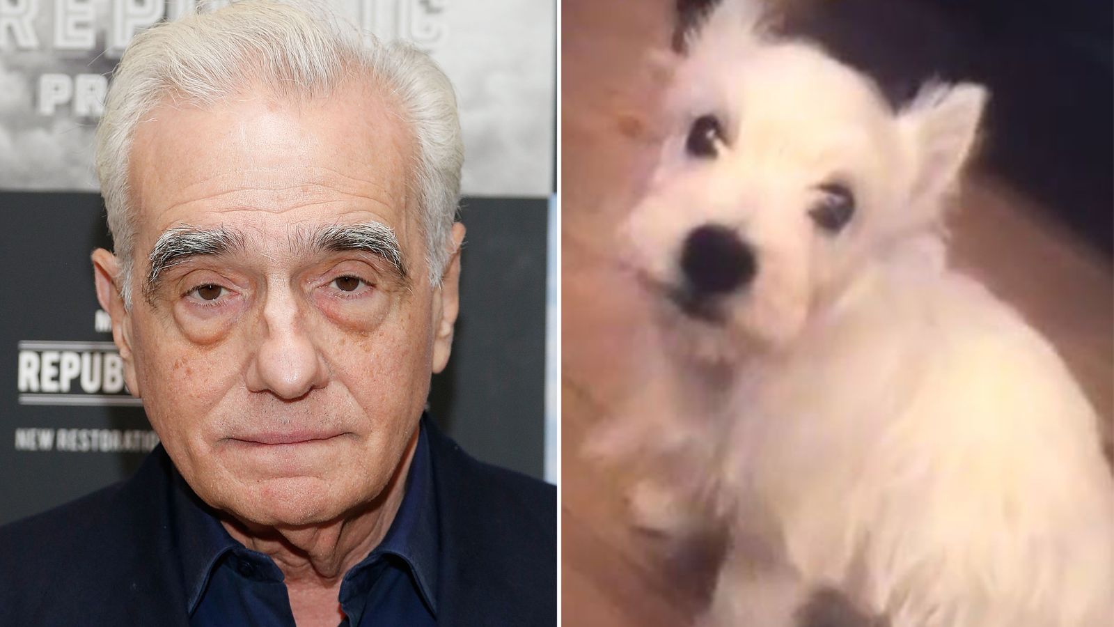 Martin Scorsese's dog accused of attacking nurse Martin Scorsese's dog accused of attacking nurse