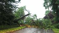 Trees were downed in Chipping Norton, Oxfordshire. Pic: Abi Collins