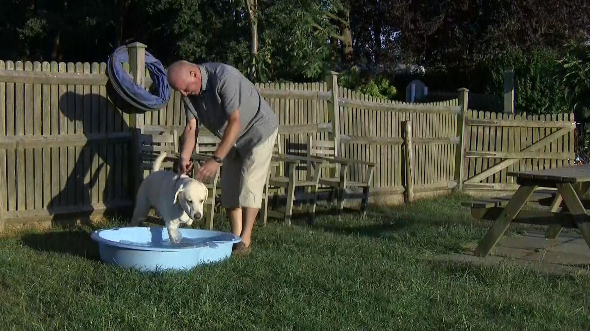 RSPCA warning over dogs locked in cars in the hot weather UK News