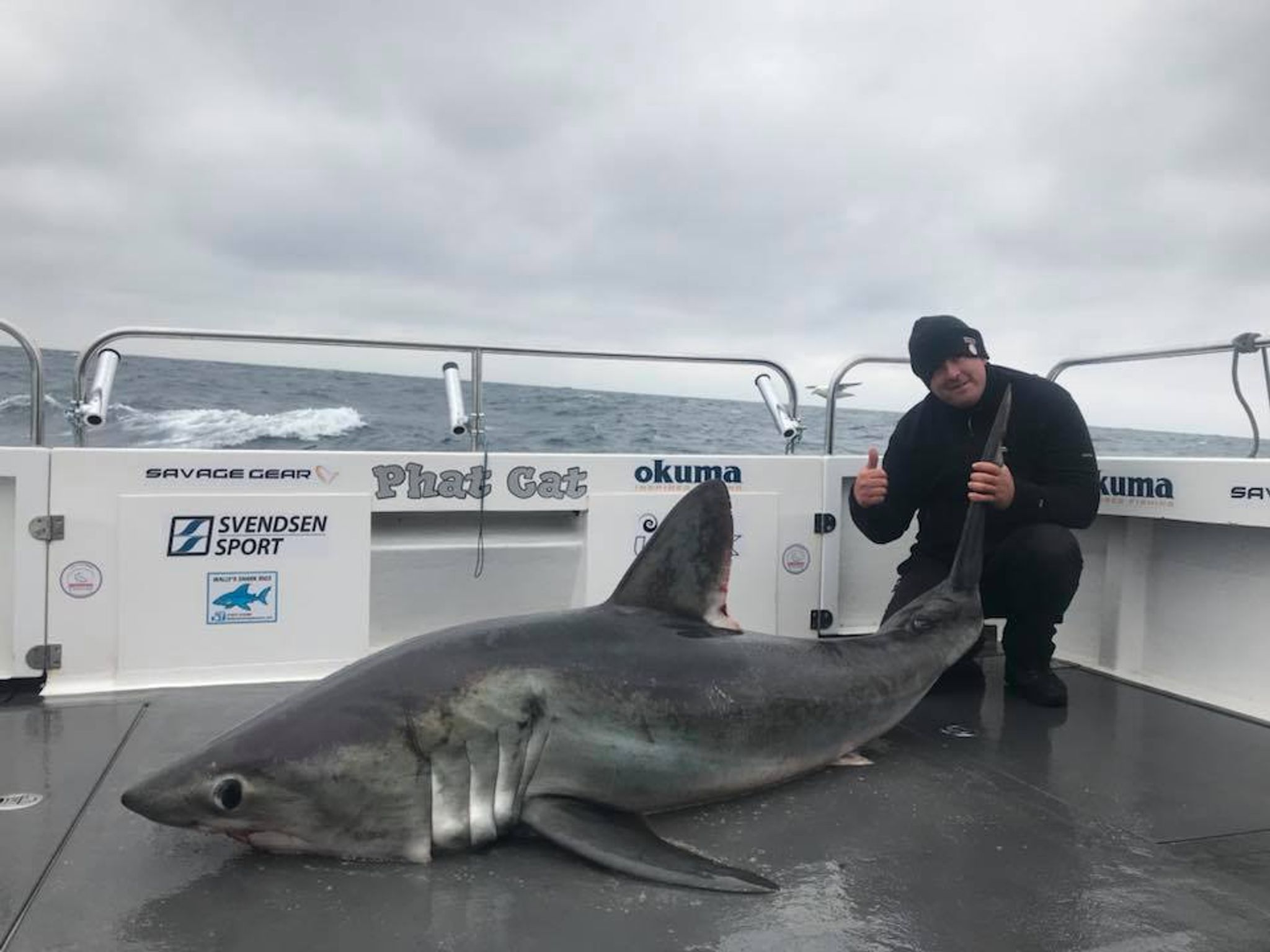 'Shock' as 23-stone shark caught off Welsh coast - Loveworld UK