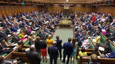 Mrs May is concerned pro-EU Tory MPs will rebel and vote for the Lords amendments