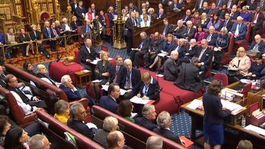 The House of Lords made 15 amendments to the Brexit Bill