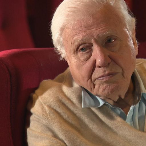 Sir David Attenborough calls for cutback on plastic for the oceans