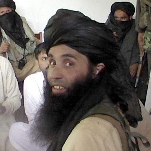Pakistani Taliban leader killed in Afghanistan airstrike