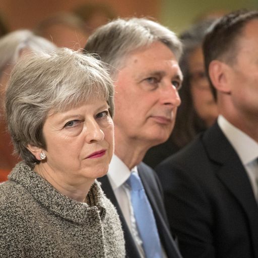 Majority think Theresa May's 'Brexit dividend' for the NHS is dishonest, Sky Data poll finds
