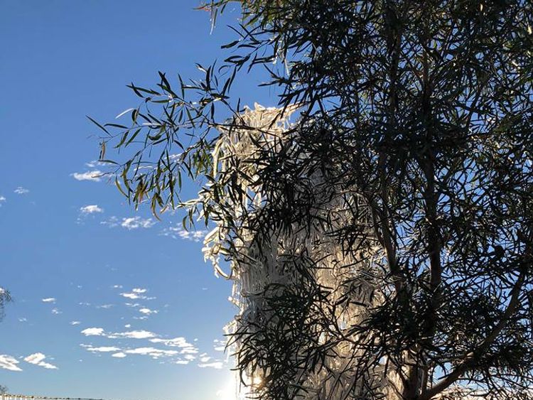 Maree Hayes took these incredible pictures in Alice Springs in Australia's Northern Territory