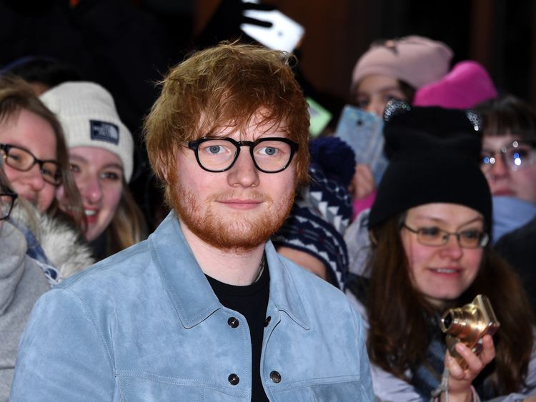 Ed Sheeran has commissioned experts to hunt for great crested newts on his East Anglian estate