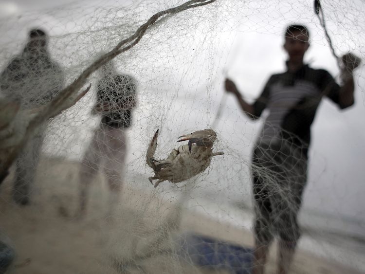 Palestinian fishermen check their nets on the shore of the Mediterranean Sea