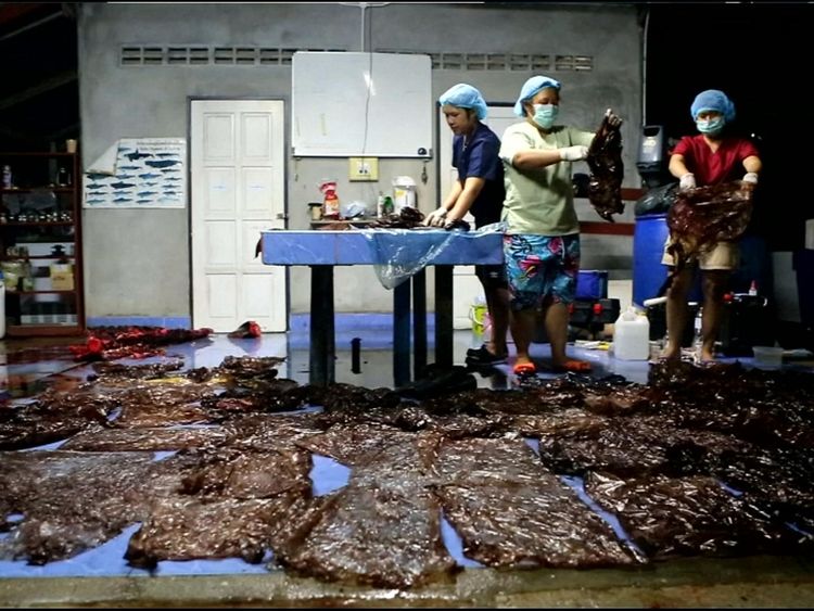 The mass of the plastic in the whale's stomach stopped it from hunting for food