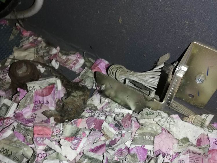 The money the rat nibbled was worth more than £14,000