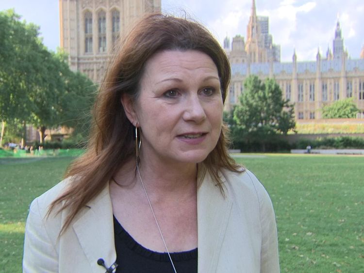 Shadow Environment Secretary Sue Hayman is challenging the government