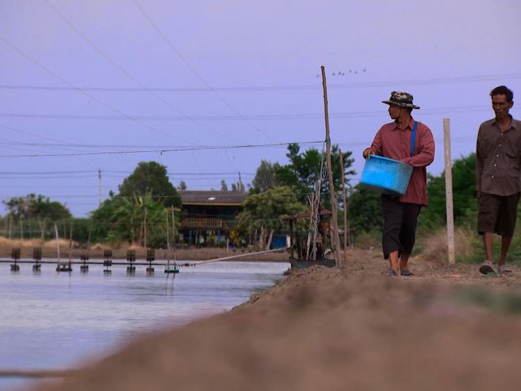 Prasit Choothip and Somnuak Jeenklab run a shrimp farm next to the illegal Bangkok factory