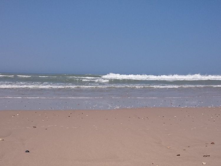US sign washes up on French beach