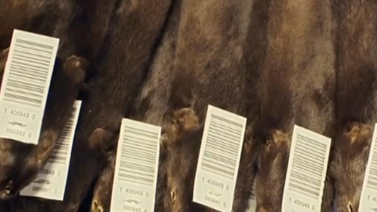 The Labour Party has pledged to ban fur imports to the UK.