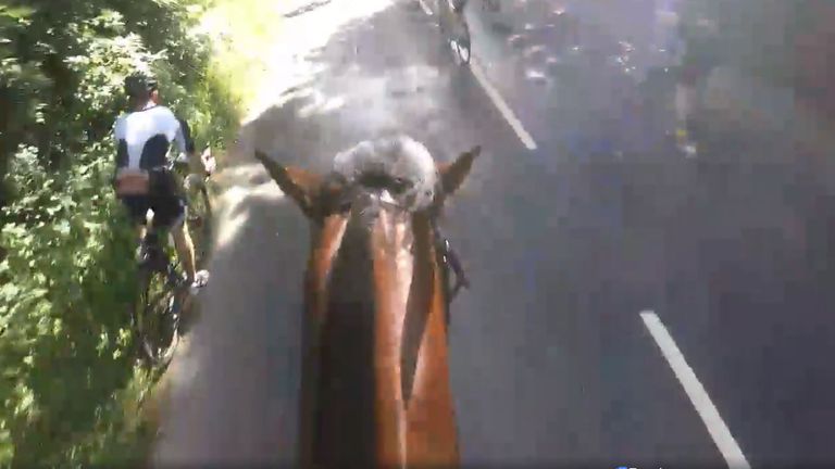 The horse is narrowly missed by cyclists