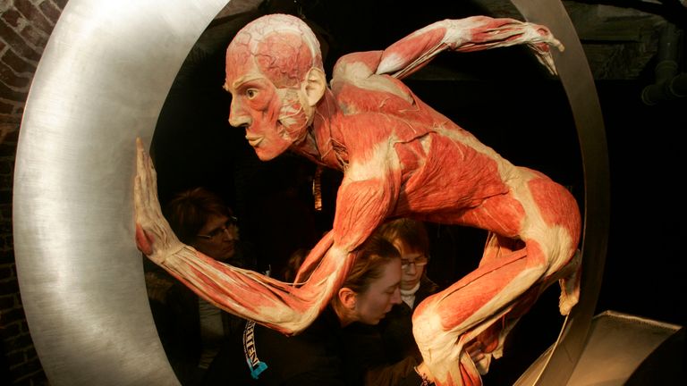 Blind people explore the plastinated body of a man at the Korper Welter exhibition by doctor Gunther von Hagens at les Caves de Cureghem on January 19, 2009 in Brussels, Belgium