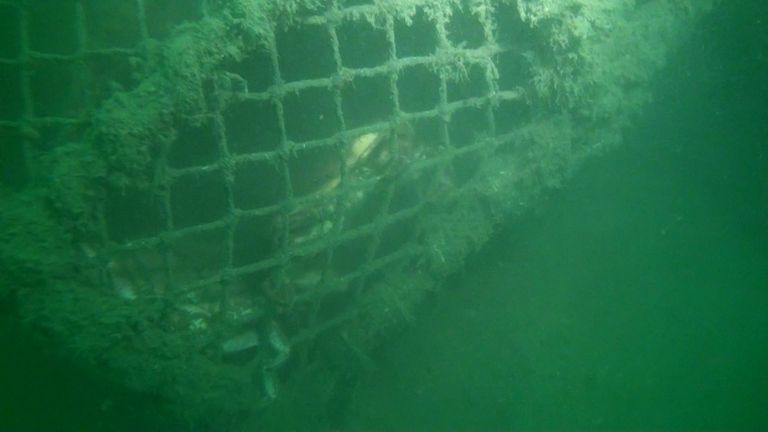 Sealife gets trapped in fishing nets
