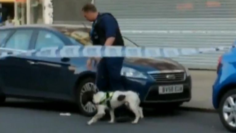 A police sniffer dog investigates a car near Southgate tube station. Credit: Hasan Hadi / Soughgate Solicitors