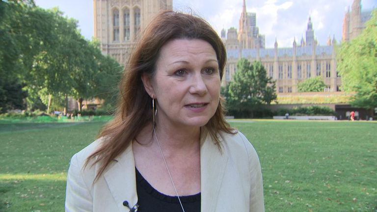 Shadow Environment Secretary Sue Hayman is challenging the government