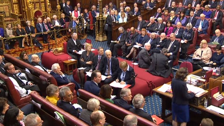 The House of Lords made 15 amendments to the Brexit Bill