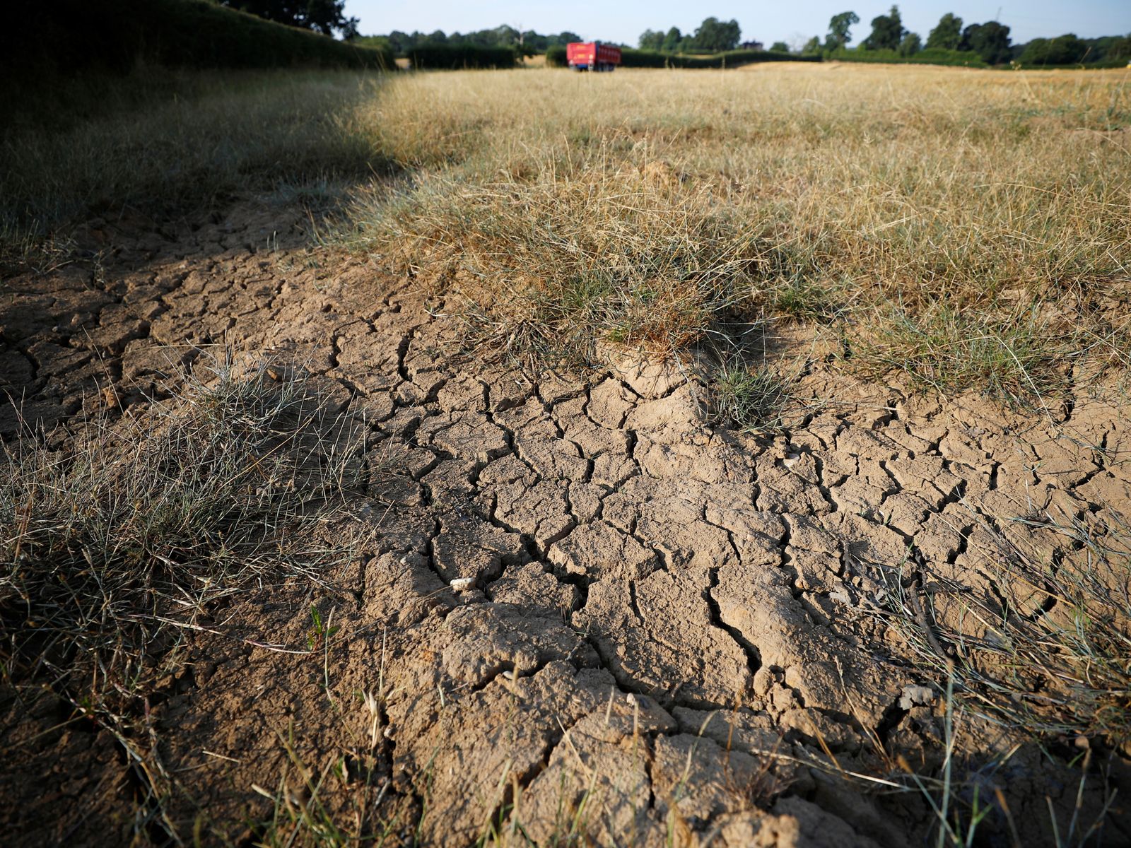 Почва страдает от. Засушливость почвы. Засуха в поле. Засуха почвы. Сухая почва.
