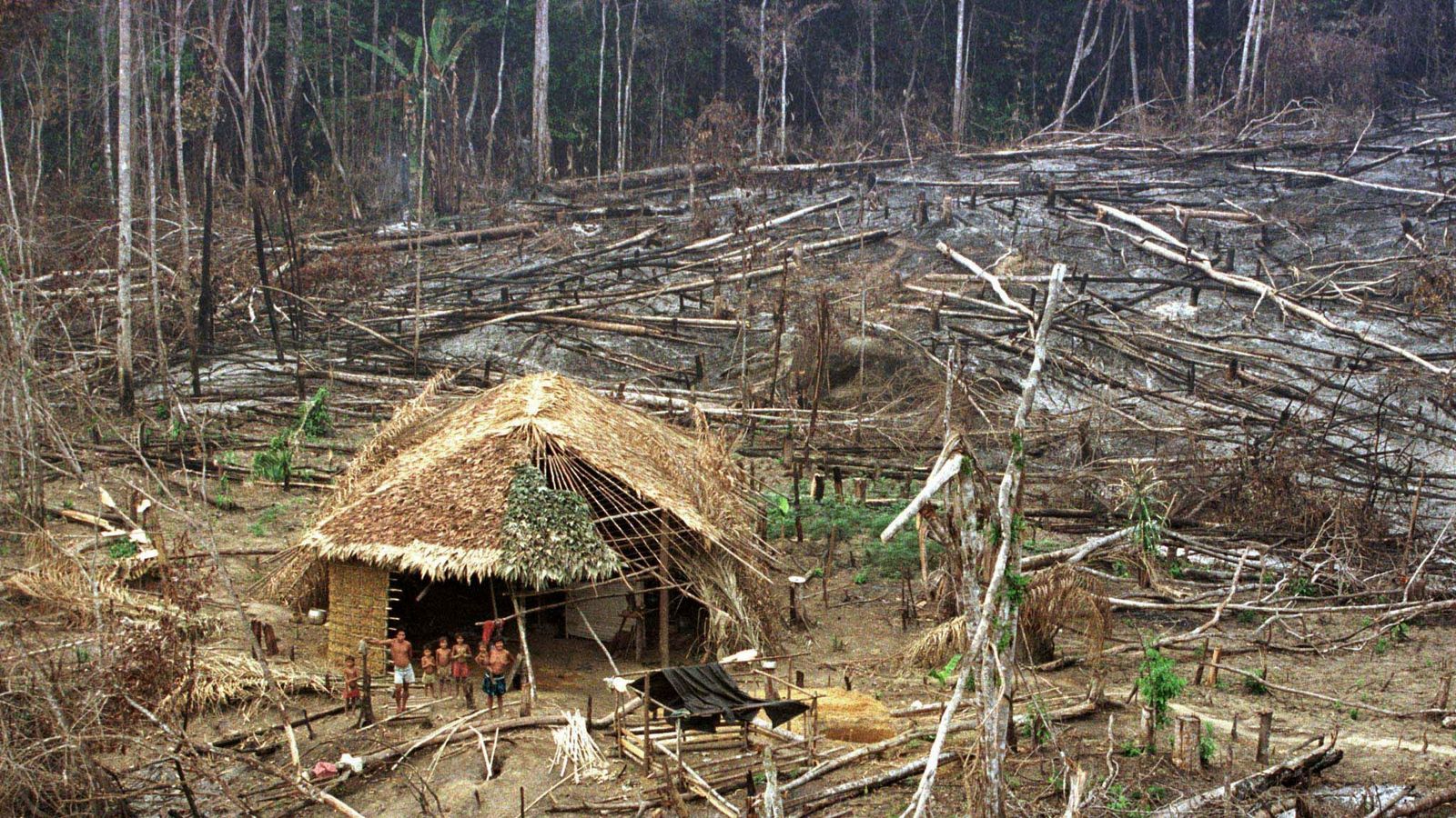 The Mystery Of The World S Uncontacted Tribes World News Sky News
