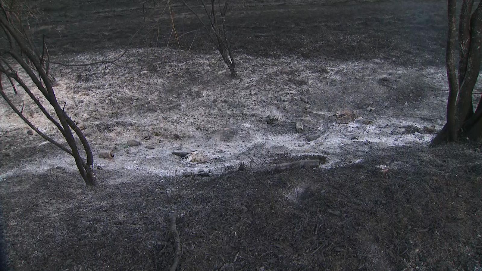 More than 220 firefighters tackle blaze on Wanstead Flats in Epping