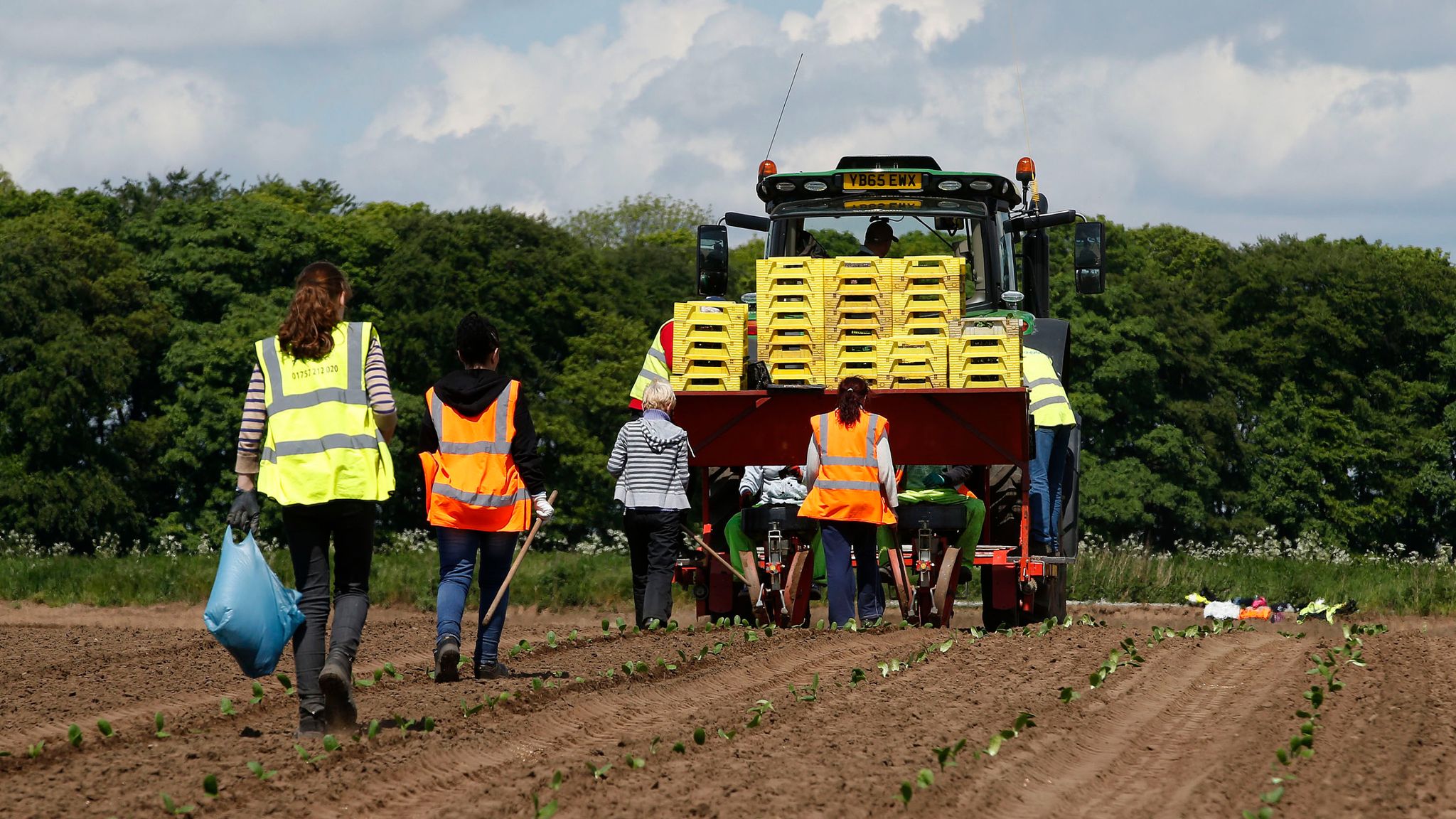 Firms in Brexit 'supply shock' as EU workers stay away Business News