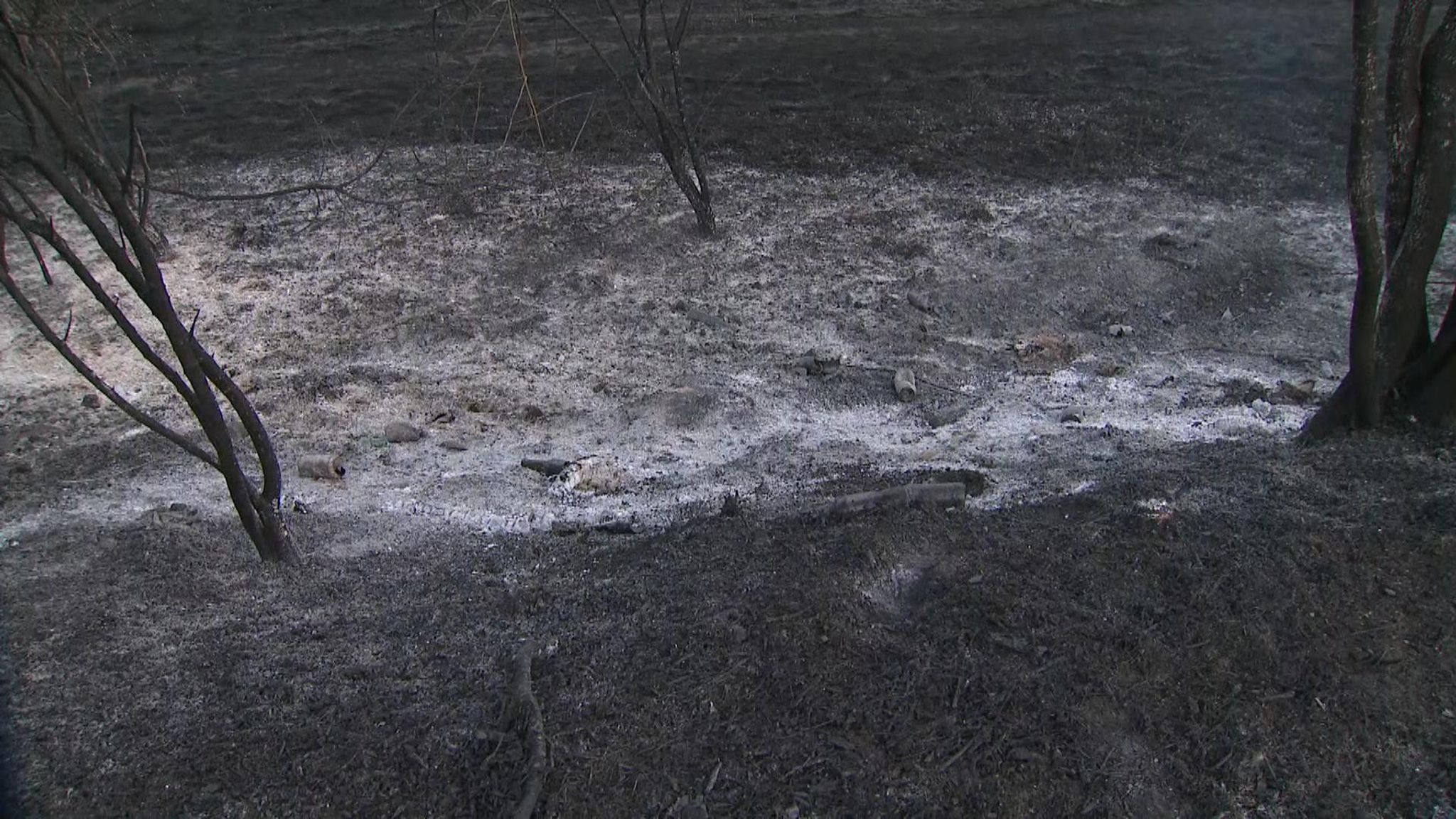 More than 220 firefighters tackle blaze on Wanstead Flats in Epping Forest UK News Sky News