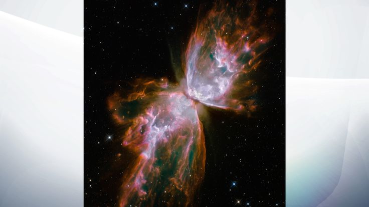  A planetary nebula named NGC 6302, also known as a nebula of butterflies and nebula Bugs 