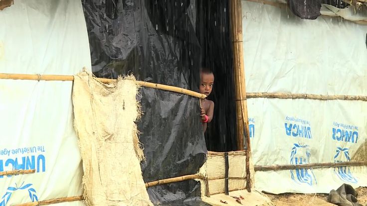   Rohingya Refugees in Bangladesh refugees 