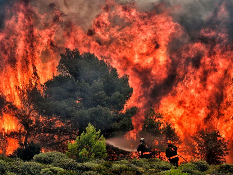 Firefighters try to extinguish flames during a wildfire at the village of Kineta, near Athens, on July 24, 2018