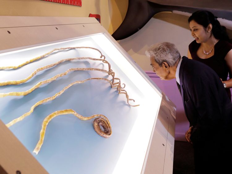   Nails are on display at Ripley's Believe it or not! museum in New York. [19659006] Image: </span><br />
        <span clbad=