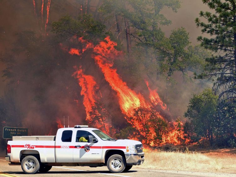 Flames engulf trees near a road during the Carr fire in Redding