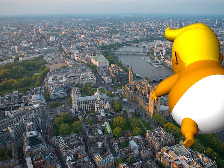Pic: Trump Baby UK