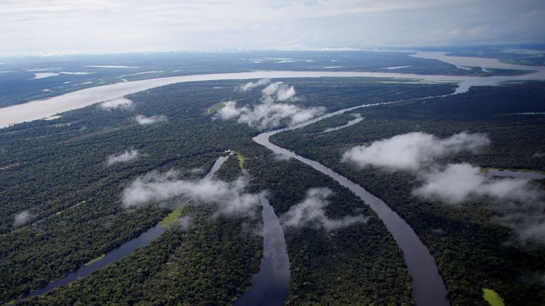 The Amazon is the world&#39;s largest tropical rainforest