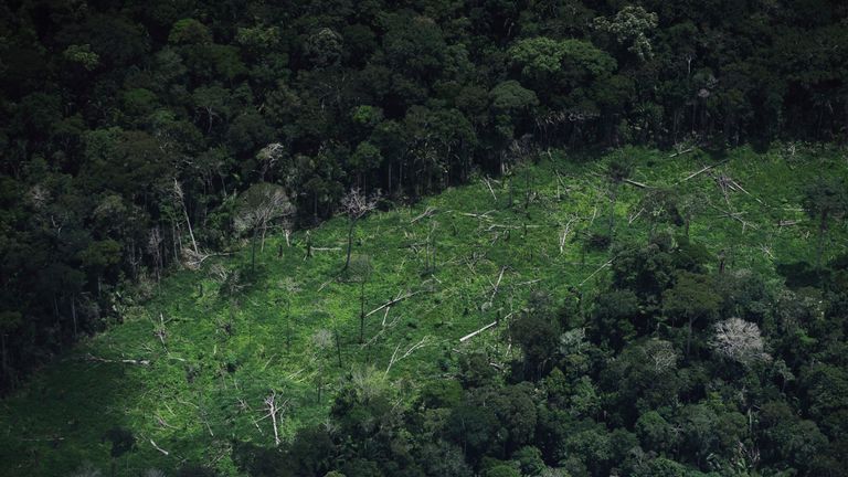 Deforested jungle inside the Ashaninka Indian territory in Brazil&#39;s northwestern Acre state