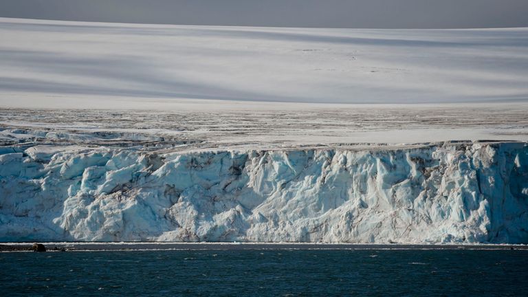 View of Yankee Harbour in the South Shetland Islands, Antarctica, on March 06, 2016. Waddling over the rocks, legions of penguins hurl themselves into the icy waters of Antarctica, foraging to feed their young. Like seals and whales, they eat krill, an inch-long shrimp-like crustacean that forms the basis of the Southern Ocean food chain. But penguin-watchers say the krill are getting scarcer in the western Antarctic peninsula, under threat from climate change and fishing. AFP PHOTO/EITAN ABRAMO