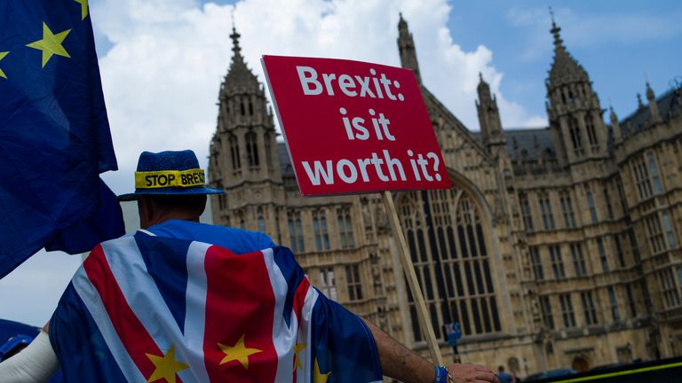A protester against Brexit outside the Houses of Parliament