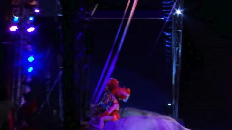 Circus elephant falls into crowd in Germany