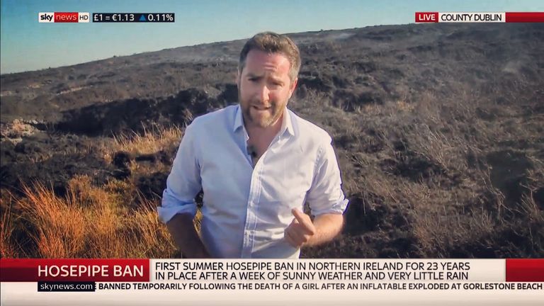 ...and basks in the heat