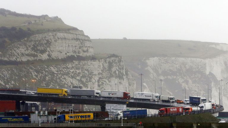 Business want to avoid long queues of lorries at ports such as Dover after Brexit. File pic