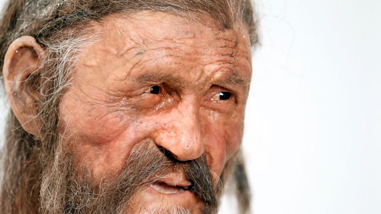 Otzi The Iceman S Final Meal Was Meat Rich And Included Fern Leaves World News Sky News