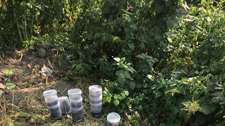 Two of the pots were run over by a vehicle. Pic: RSPCA