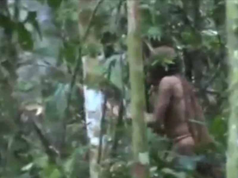 The Mystery Of The World S Uncontacted Tribes World News Sky News