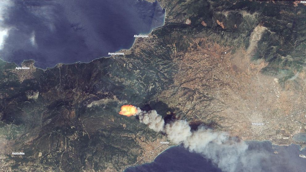 LIVE: Greece wildfires - State of emergency near Athens as at least 60